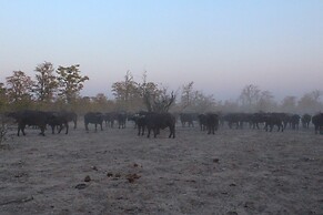 Dzibanana Lodge & Camping