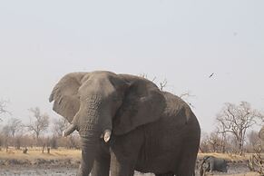 Dzibanana Lodge & Camping