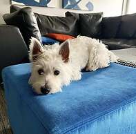 Aloft Newport On The Levee