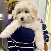 Aloft Newport On The Levee