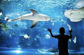 Aloft Newport On The Levee