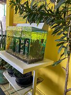 Onça da Praia Hostel