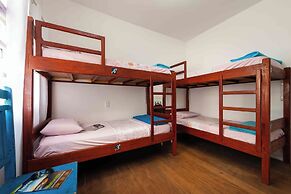 Onça da Praia Hostel