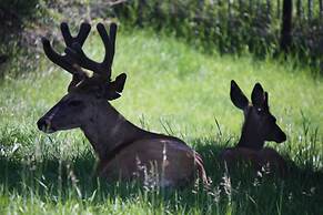 York Creek Bed and Breakfast