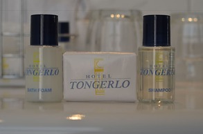 Hotel Tongerlo