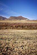 Dynasty Red Mountain Ranch