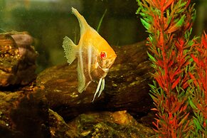 Casa Forno Country Hotel