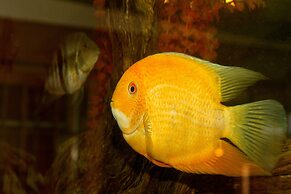 Casa Forno Country Hotel