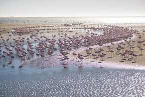 Flamingo Villa Boutique Hotel