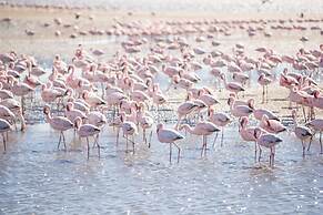 Flamingo Villa Boutique Hotel