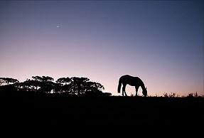 Parador Cambará do Sul
