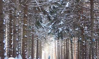 Robert Frost Mountain Cabins