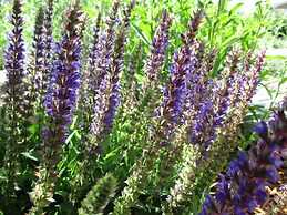 La Casita 1 Bedroom Holiday Home By Pinon Vacation Rentals