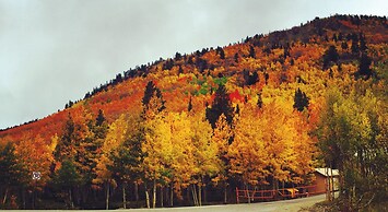 The Townie 1 Bedroom Holiday Home By Pinon Vacation Rentals