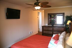 Panoramic Perfection