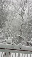 8 Acre Wood