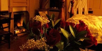 Fallen Tree Farm Bed & Breakfast