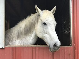 Fallen Tree Farm Bed & Breakfast