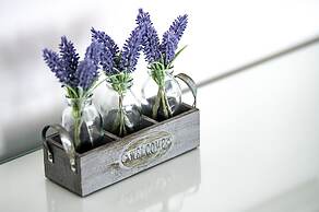 Brighton Holiday Village *Parking Included*