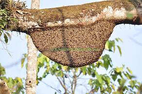 Chautari Garden Resort