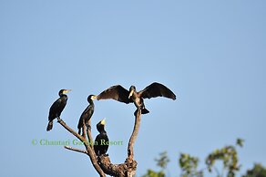 Chautari Garden Resort