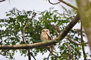 Chautari Garden Resort