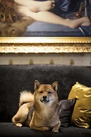 Hôtel Eiffel Petit Louvre