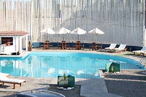 Los Delfines de Chicama