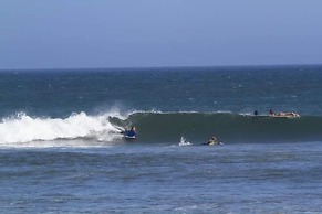 Los Delfines de Chicama