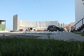 Los Delfines de Chicama