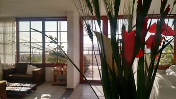 Los Delfines de Chicama