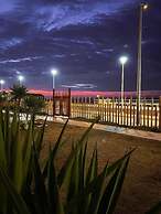 Los Delfines de Chicama