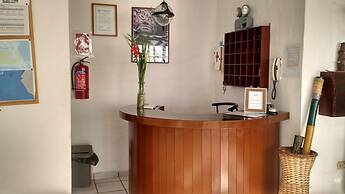 Los Delfines de Chicama