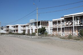 Los Delfines de Chicama