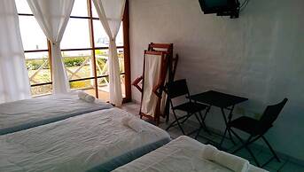 Los Delfines de Chicama