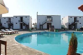 Los Delfines de Chicama