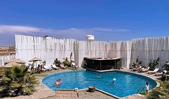 Los Delfines de Chicama