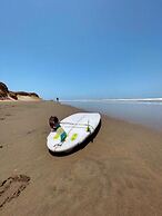 Los Delfines de Chicama