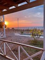 Los Delfines de Chicama