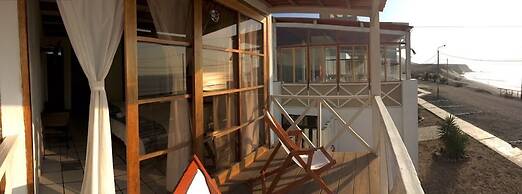 Los Delfines de Chicama