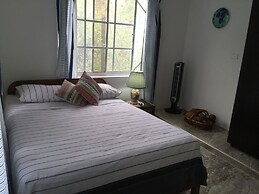 Posada Come So In The Bush