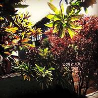 Posada Come So In The Bush