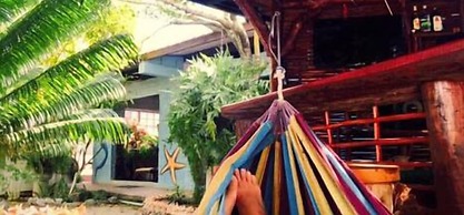 Posada Come So In The Bush