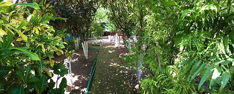 Posada Come So In The Bush