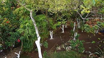 Posada Come So In The Bush