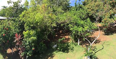 Posada Come So In The Bush