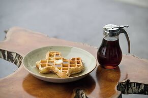 SpringHill Suites by Marriott Austin Cedar Park