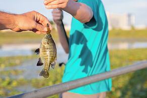 SpringHill Suites by Marriott Austin Cedar Park