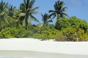 Local Island Inn