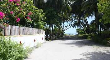 Pearl Beach View